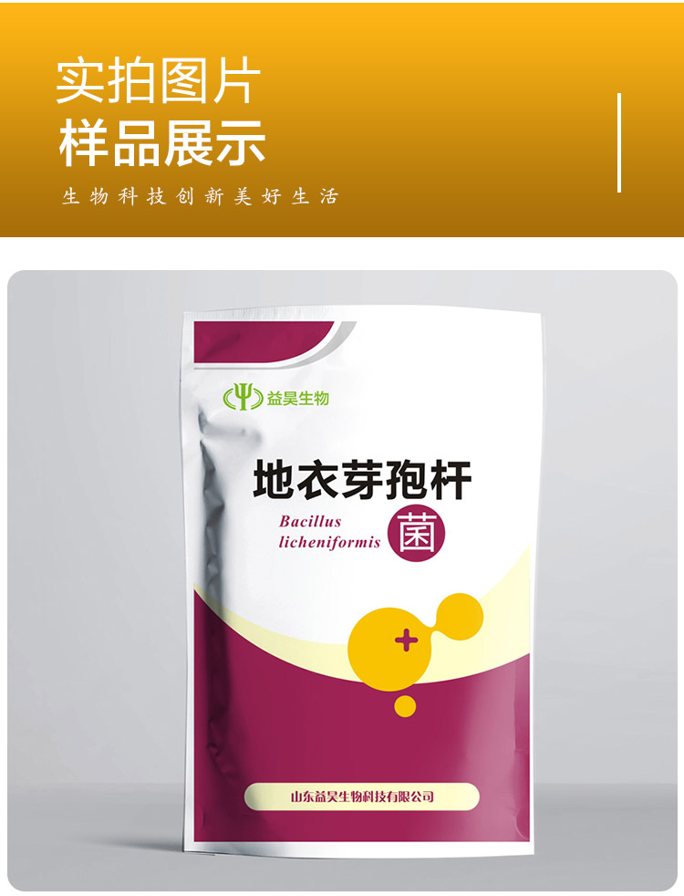 地衣芽孢桿菌